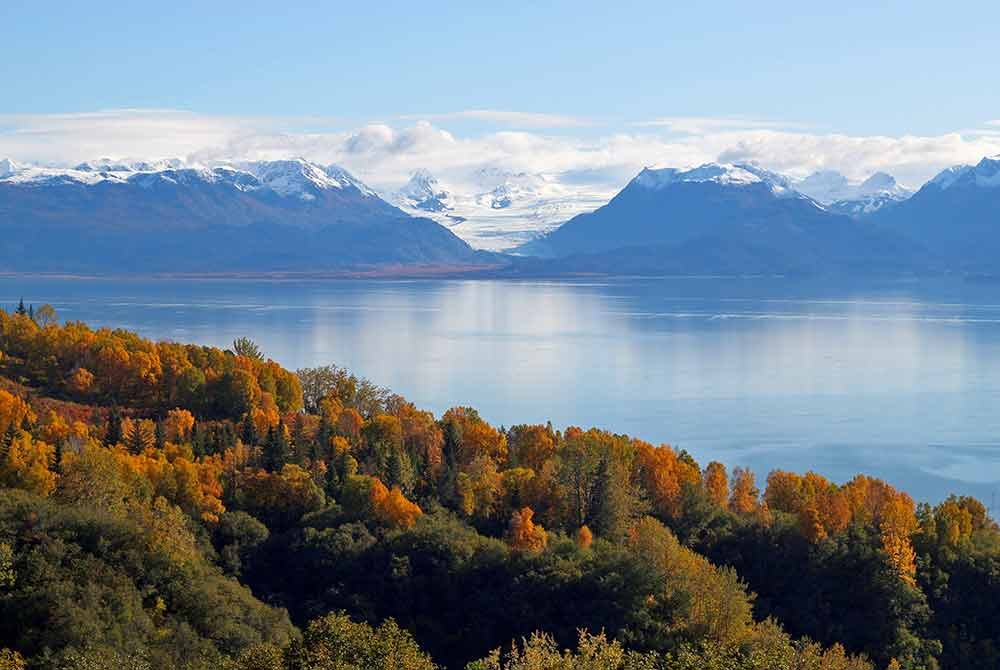 A large bay reflecting snow-capped mountains under a blue sky, viewed from a forest with autumn foliage near cabins in Homer, Alaska.