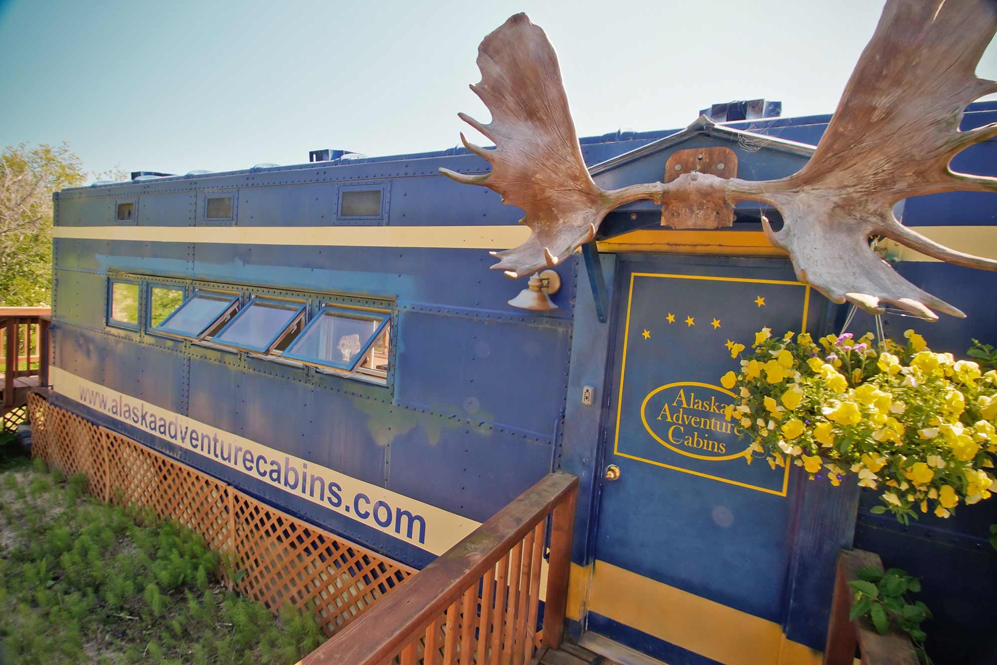 Blue cabin in Homer, Alaska, with large moose antlers mounted above the door, marked with “Alaska Adventure Cabins” and the website address.